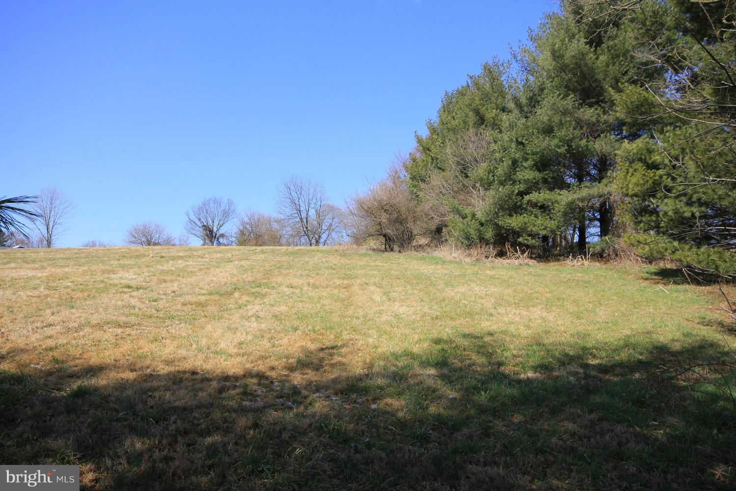 6580 Roy Shafer Road Middletown, MD 21769 - Photo 3 of 9 Exterior (General)