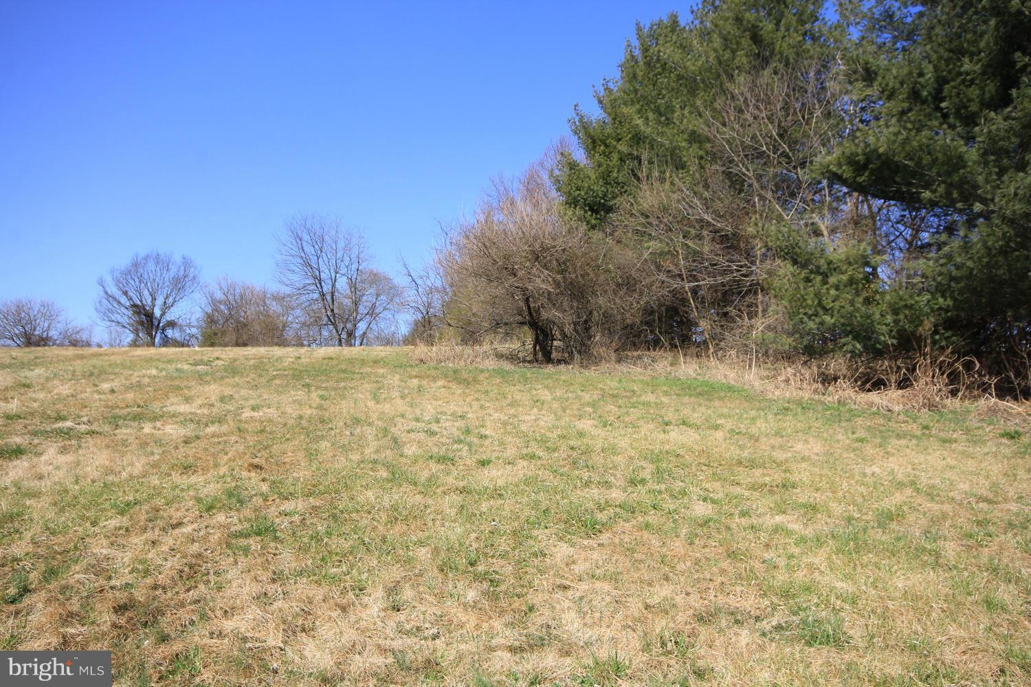 6580 Roy Shafer Road Middletown, MD 21769 - Photo 5 of 9 Exterior (General)