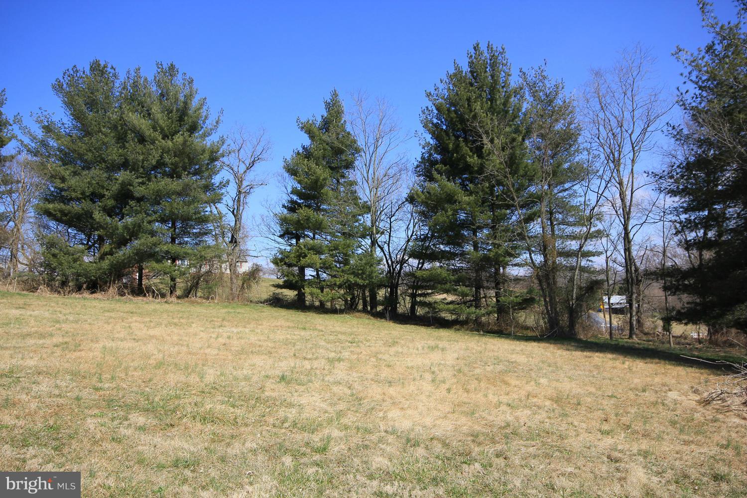 6580 Roy Shafer Road Middletown, MD 21769 - Photo 7 of 9 Exterior (General)