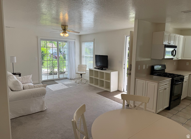 2460 West 450 South, Unit 1 Springville, UT 84663 - Photo 2 of 18