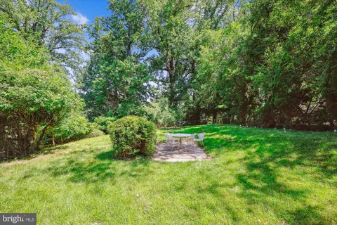 a green field with lots of bushes