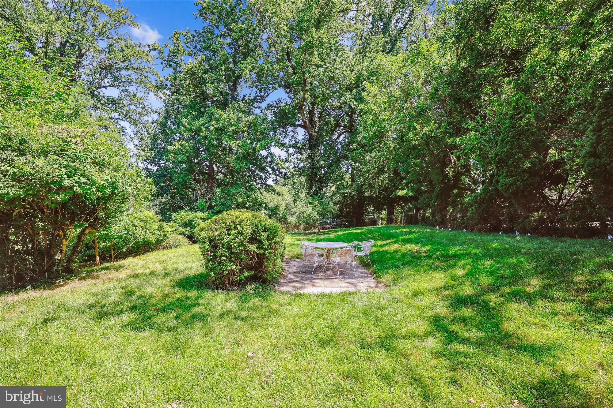 10205 Capitol View Avenue Silver Spring, MD 20910 - Photo 3 of 27 a green field with lots of bushes