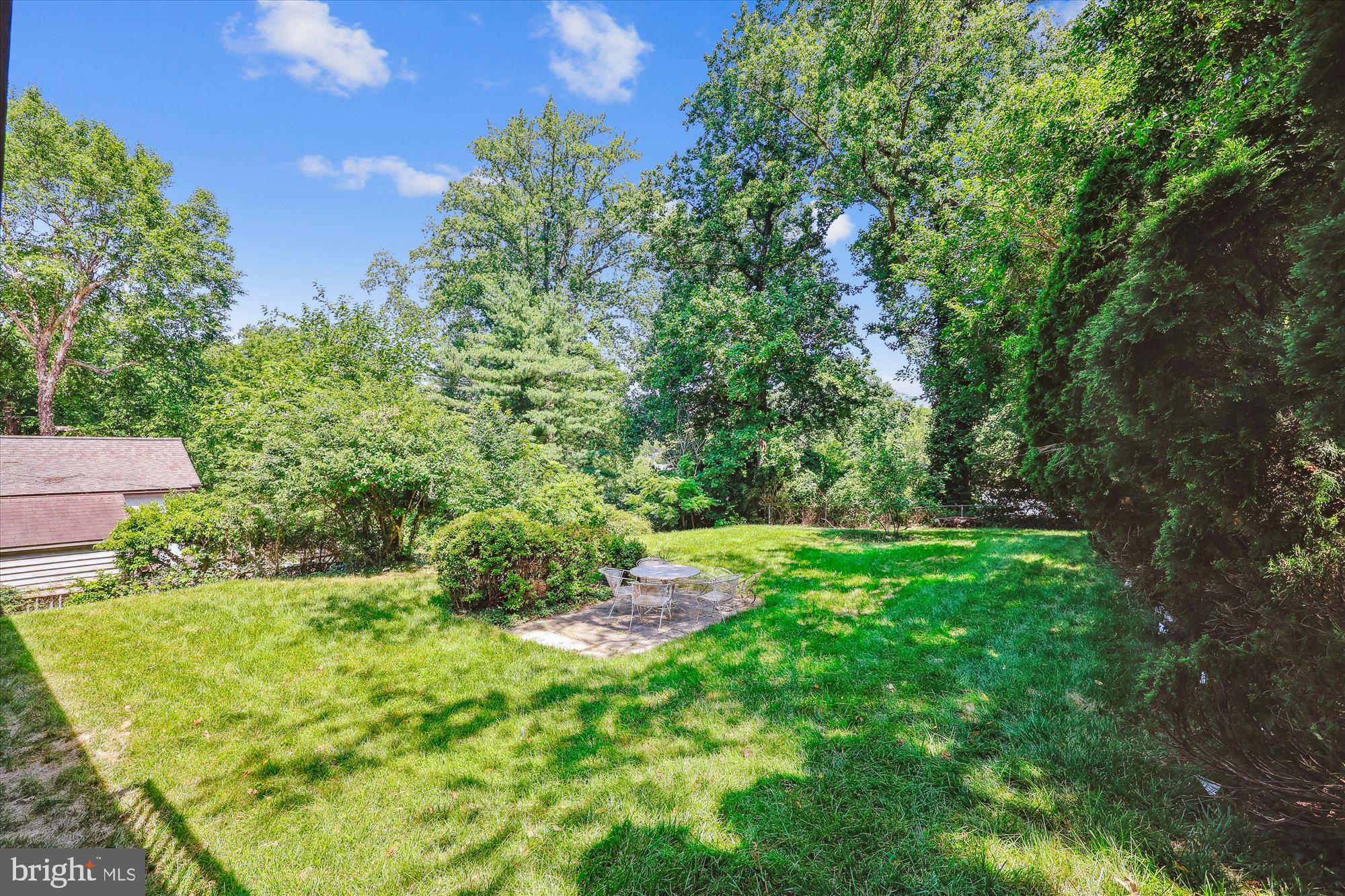 10205 Capitol View Avenue Silver Spring, MD 20910 - Photo 4 of 27 a view of yard with green space