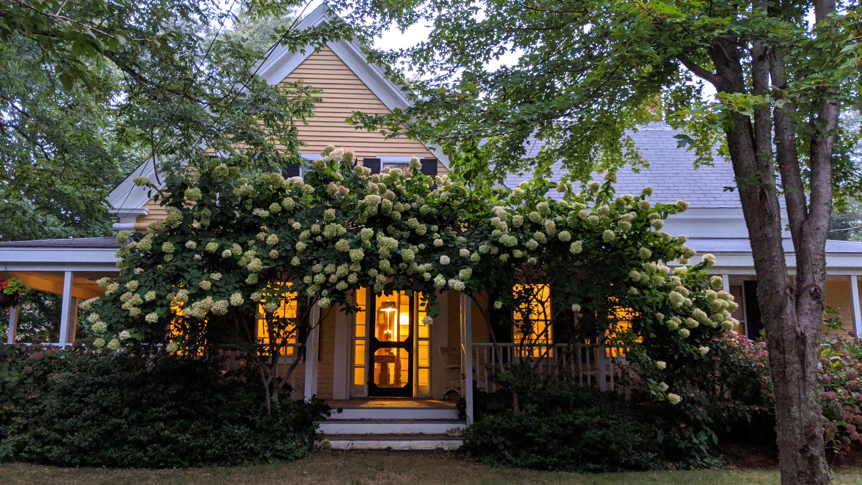 a front view of a house with garden