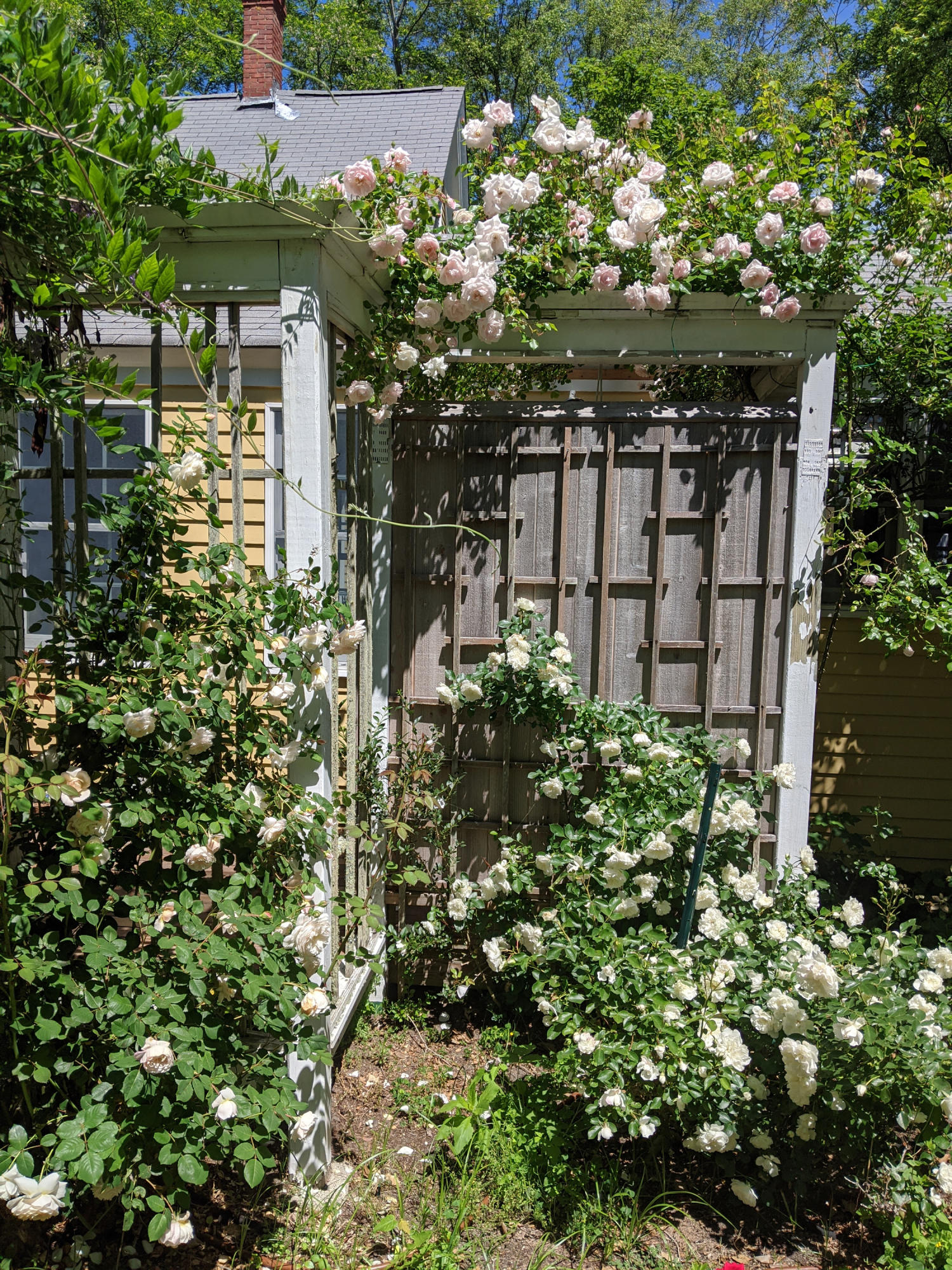 120 Bridge Road Eastham, MA 02642 - Photo 31 of 48 a view of a pathway of a house