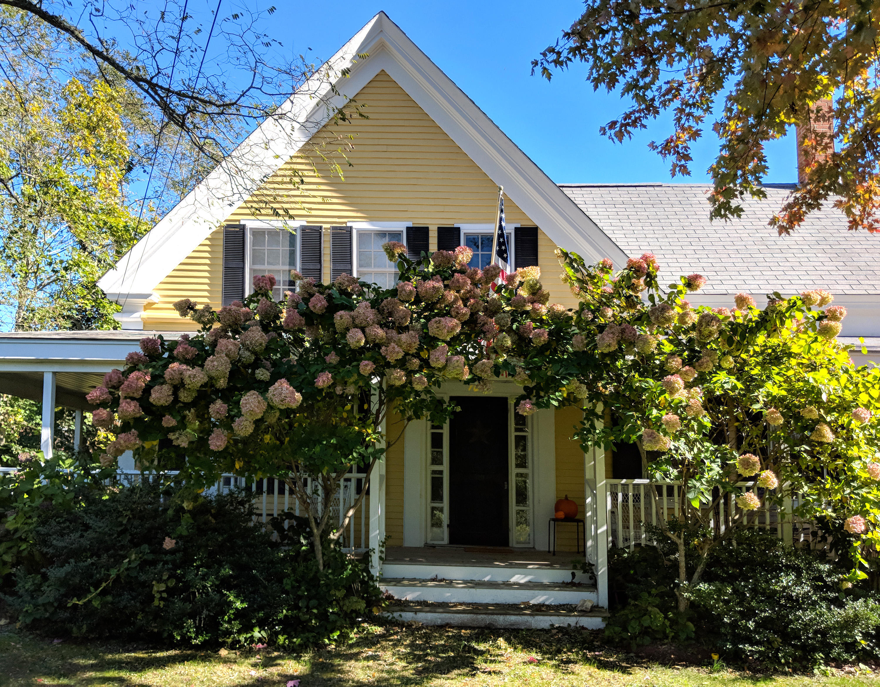 120 Bridge Road Eastham, MA 02642 - Photo 48 of 48 a front view of a house with garden