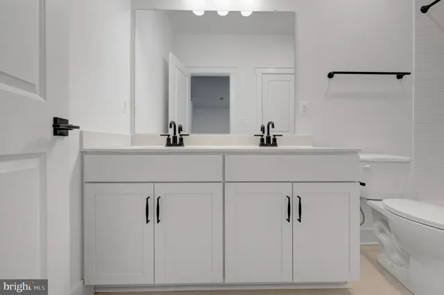 a bathroom with a sink and a toilet