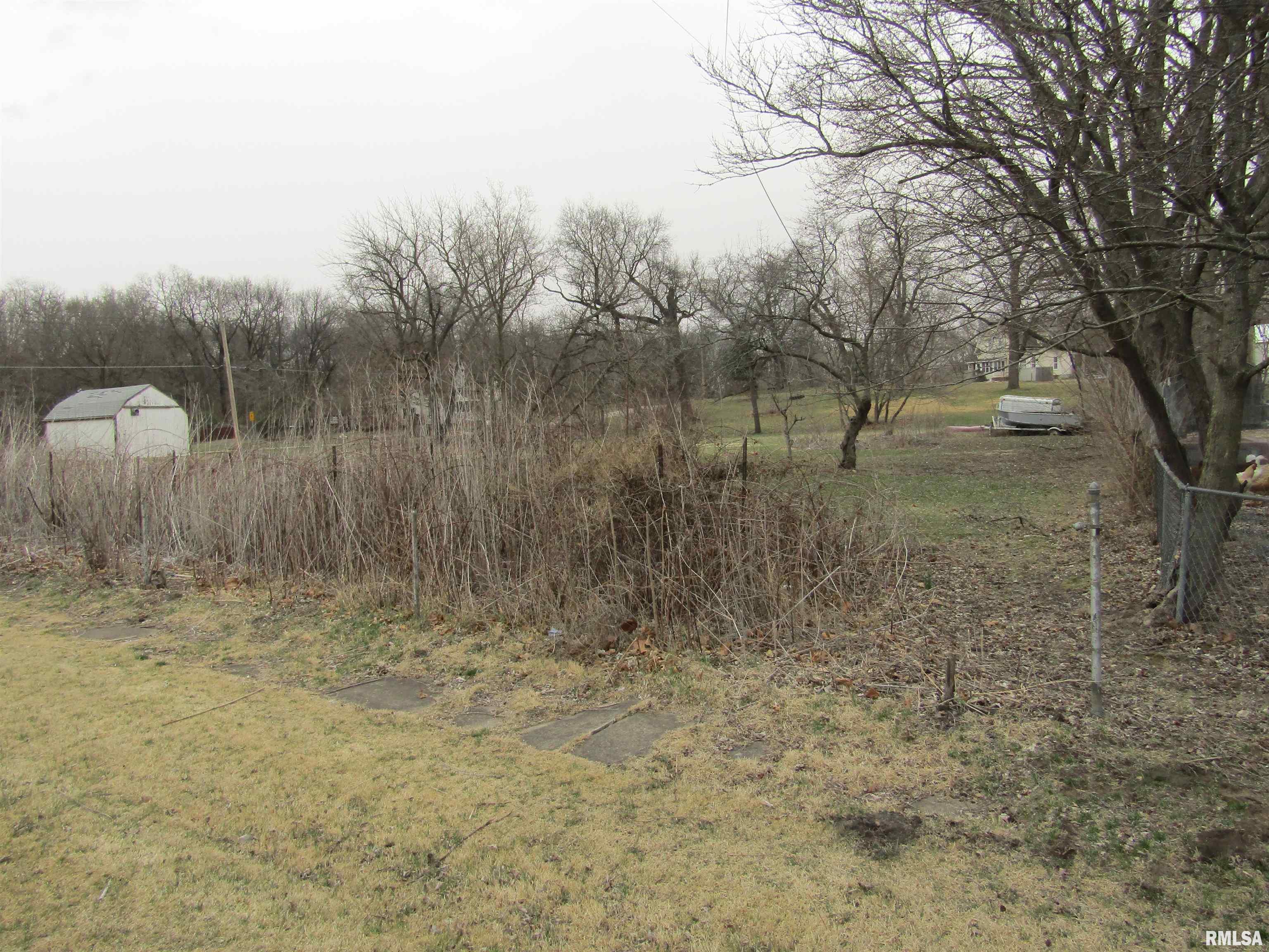 204 Chestnut Street Forest City, IL 61532 - Photo 2 of 11