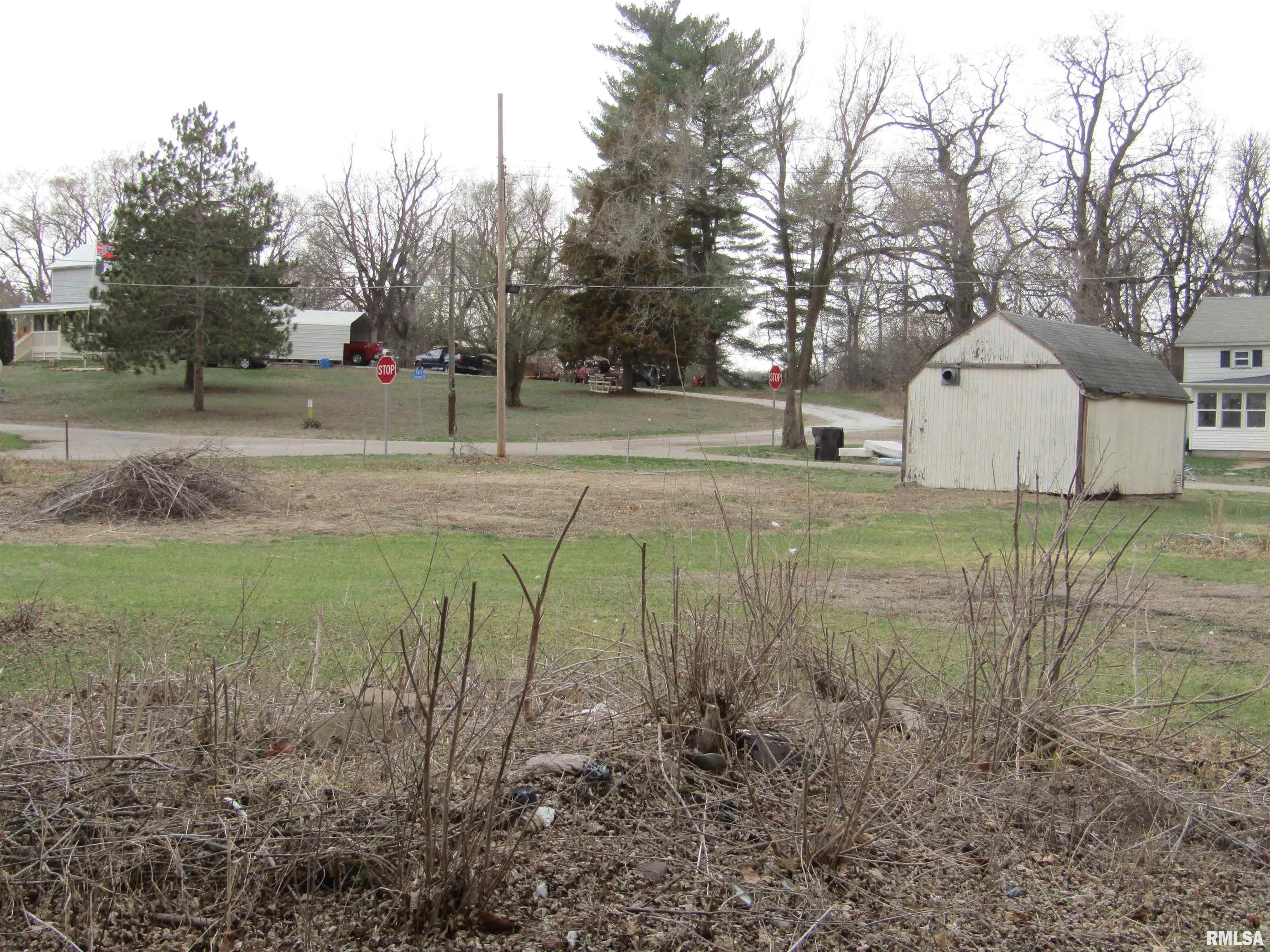 204 Chestnut Street Forest City, IL 61532 - Photo 7 of 11