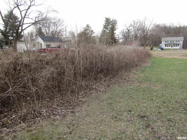 $15,000 | 204 Chestnut Street, Forest City, IL 61532