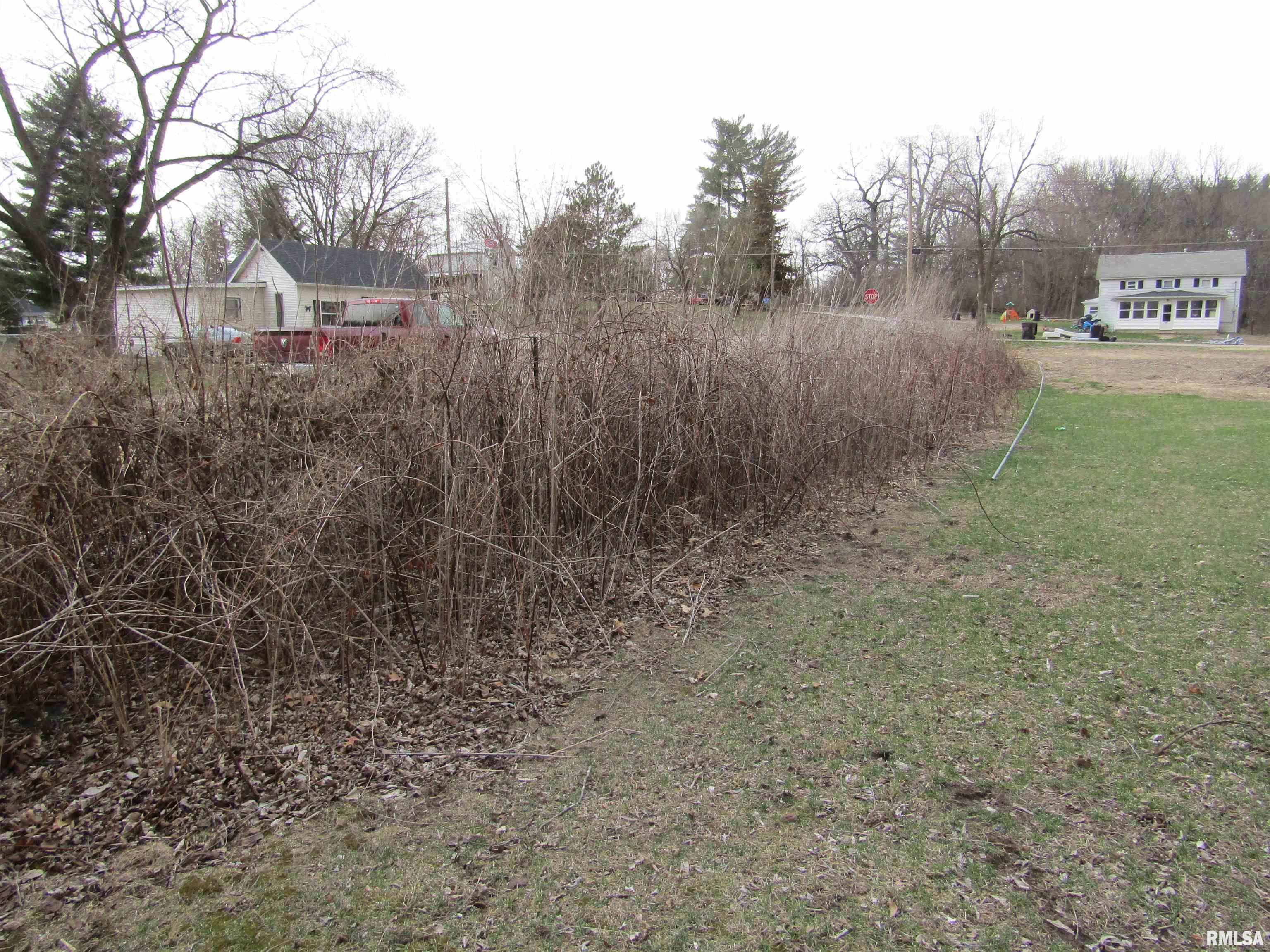 204 Chestnut Street Forest City, IL 61532 - Photo 9 of 11