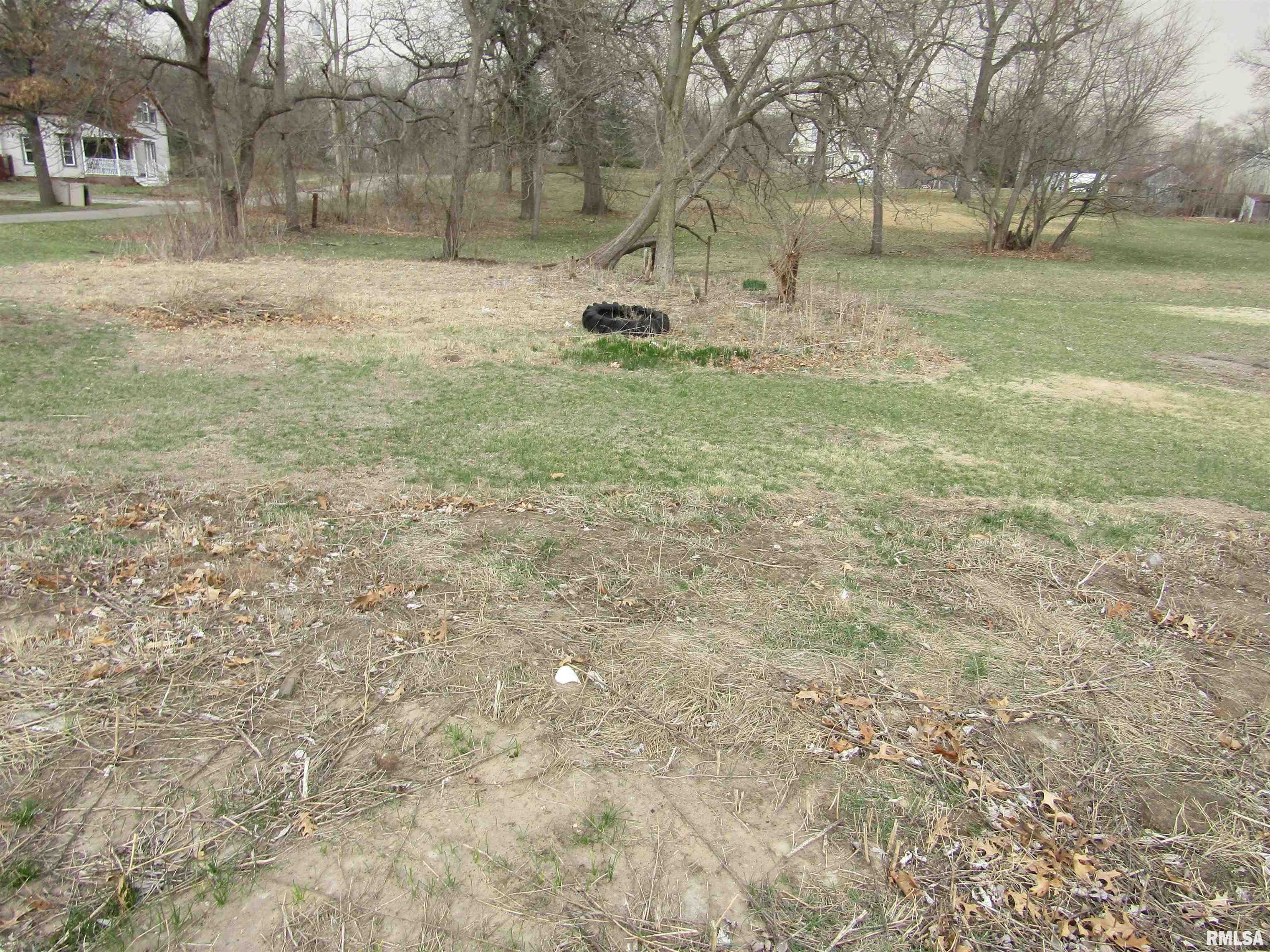 204 Chestnut Street Forest City, IL 61532 - Photo 10 of 11