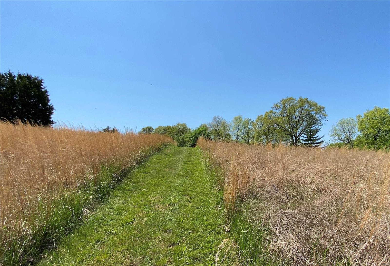 8179 Day Road Carbondale, IL 62902 - Photo 50 of 63