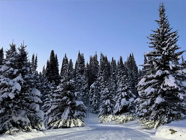 $6,275,000 | 31655 Sugar Ridge Road, Steamboat Springs, CO 80487