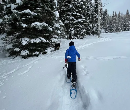 $6,275,000 | 31655 Sugar Ridge Road, Steamboat Springs, CO 80487