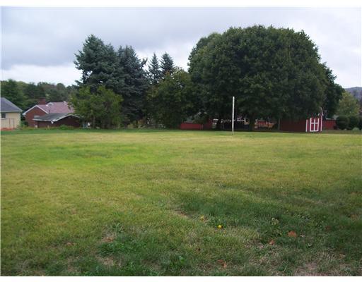 2790 Brodhead Road Aliquippa, PA 15001 - Photo 3 of 18 Yard/Garden. LARGE REAR YARD WHICH CAN BE FENCED IN.