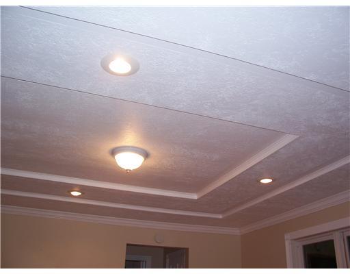 2790 Brodhead Road Aliquippa, PA 15001 - Photo 5 of 18 Living Room. BEAUTIFUL TRAY CEILING IN THE LIVINGROOM.