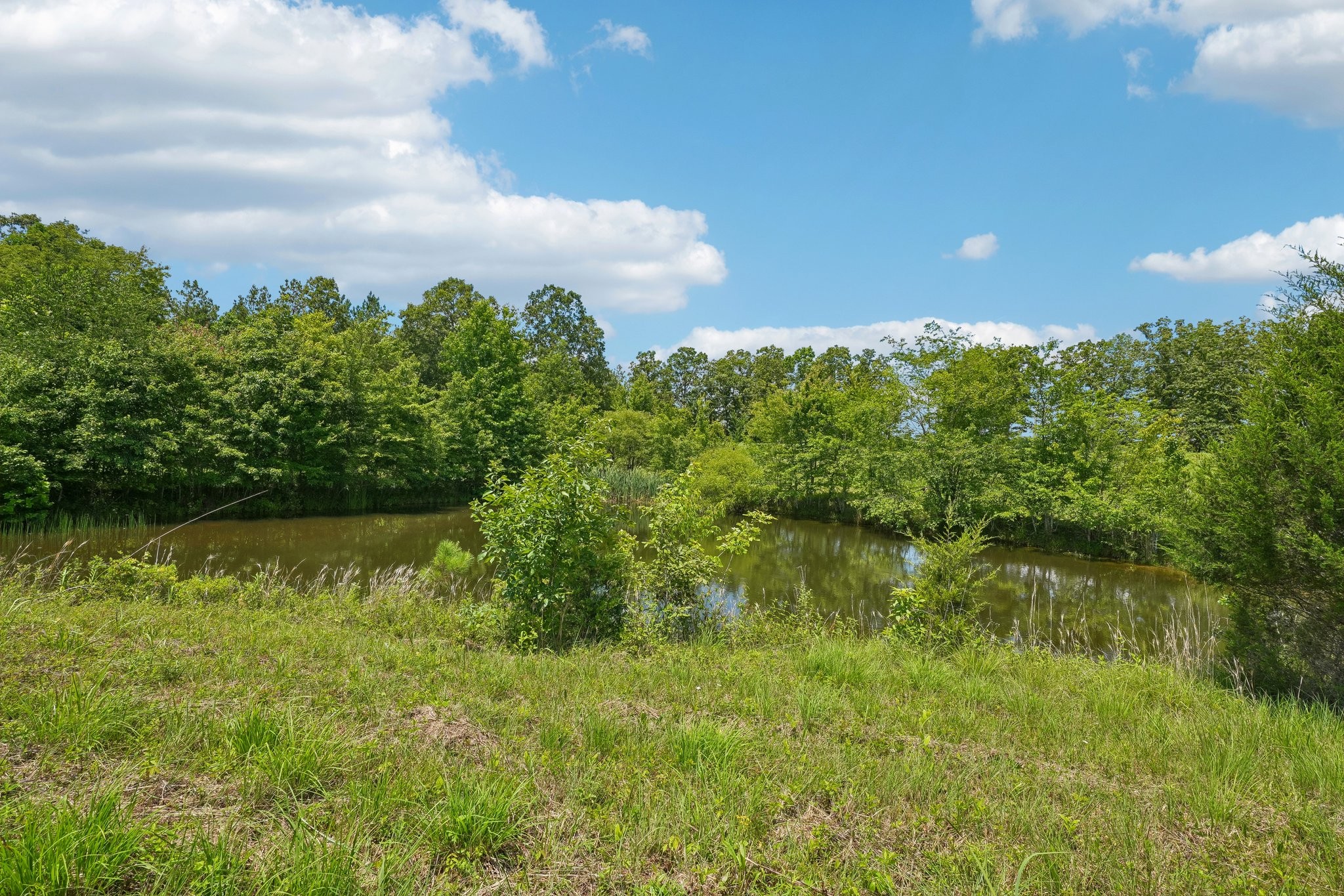 4501 West Tennessee City Road McEwen, TN 37101 - Photo 57 of 72
