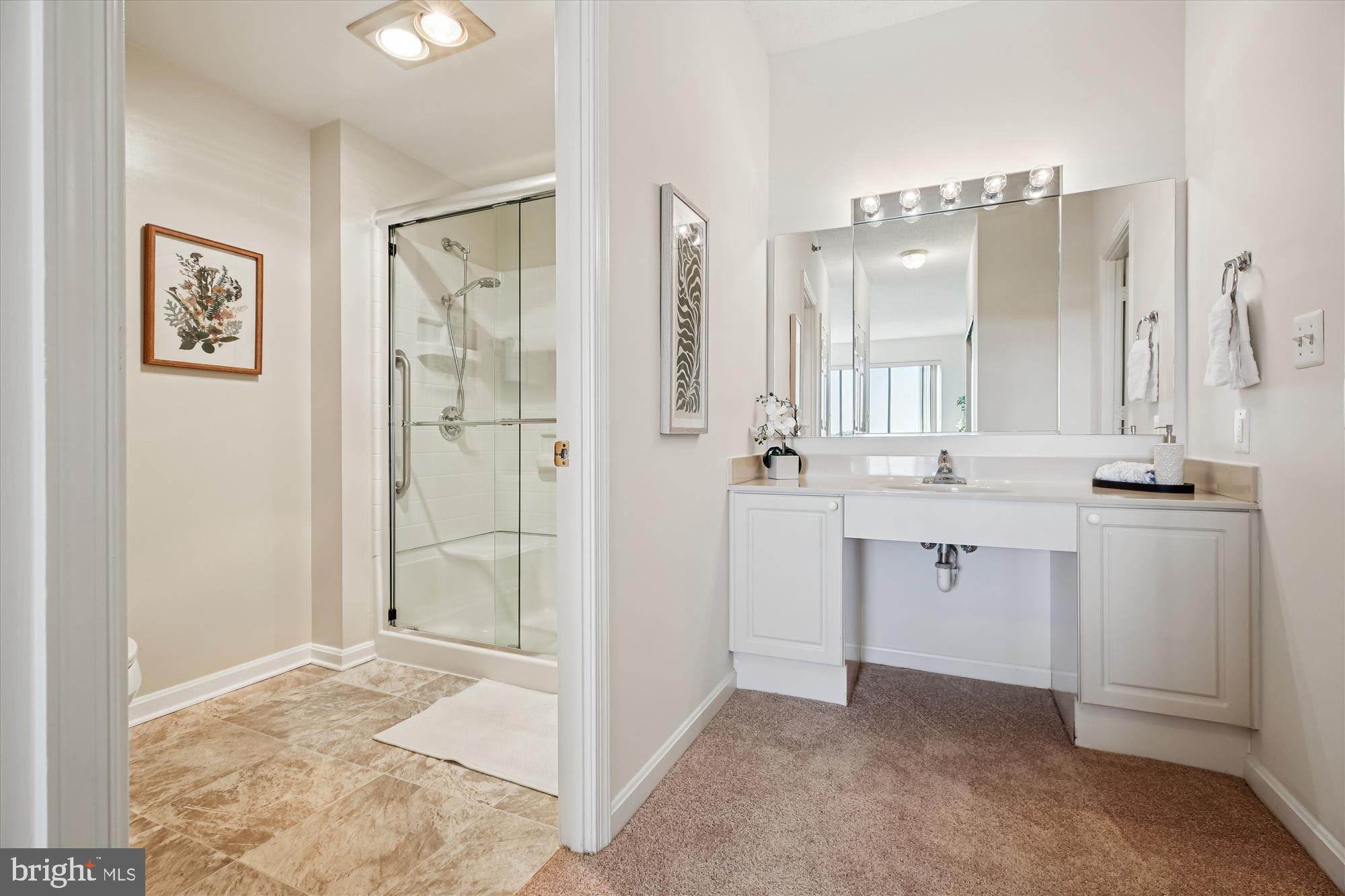 3005 South Leisure World Boulevard, Unit 802 Silver Spring, MD 20906 - Photo 29 of 70 a bathroom with a shower sink and mirror