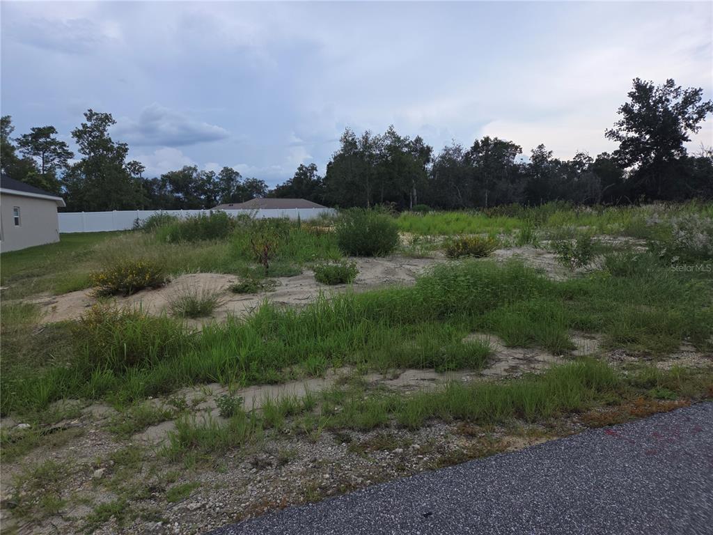 32 Spruce Pass Ocala, FL 34472 - Photo 3 of 3 a view of a lake with houses in the back