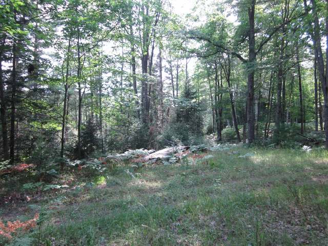On On Shore Road Long Lake, WI 54542 - Photo 1 of 5 Gallery Image 1