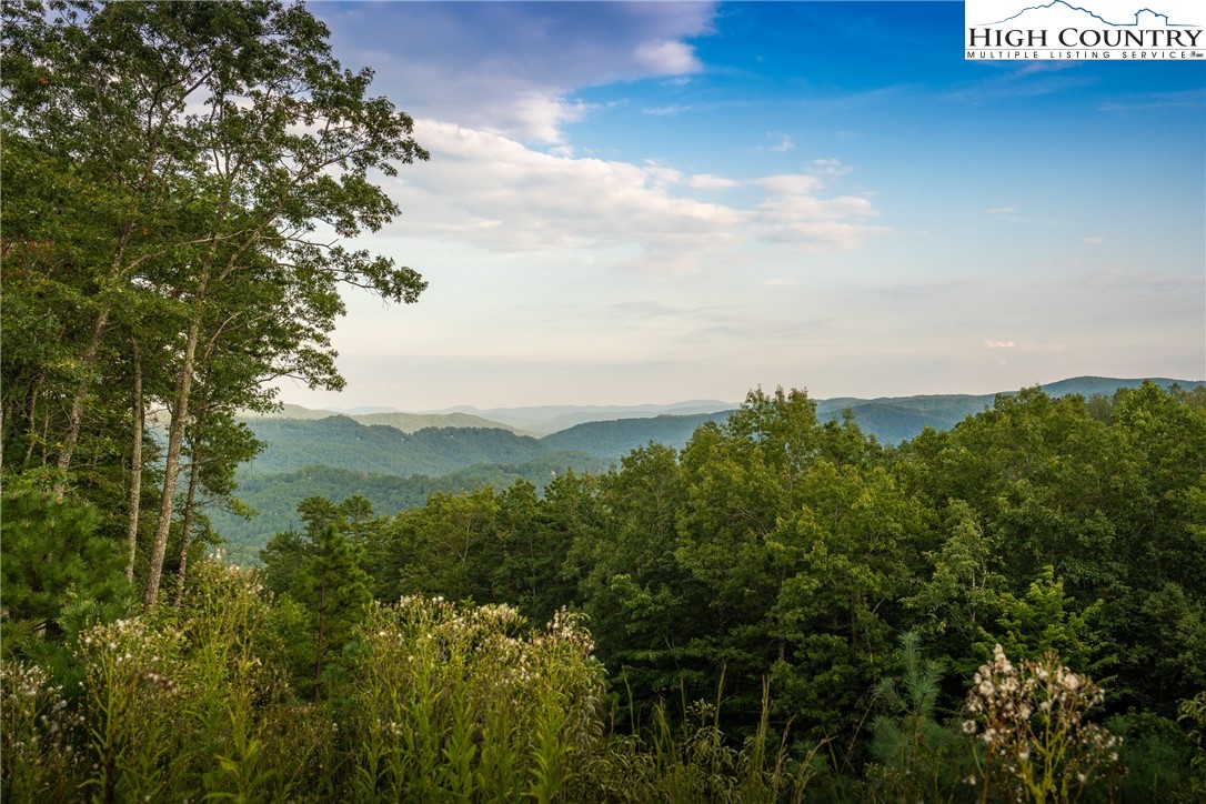 1628 Jumpseed Way Boone, NC 28607 - Photo 1 of 50