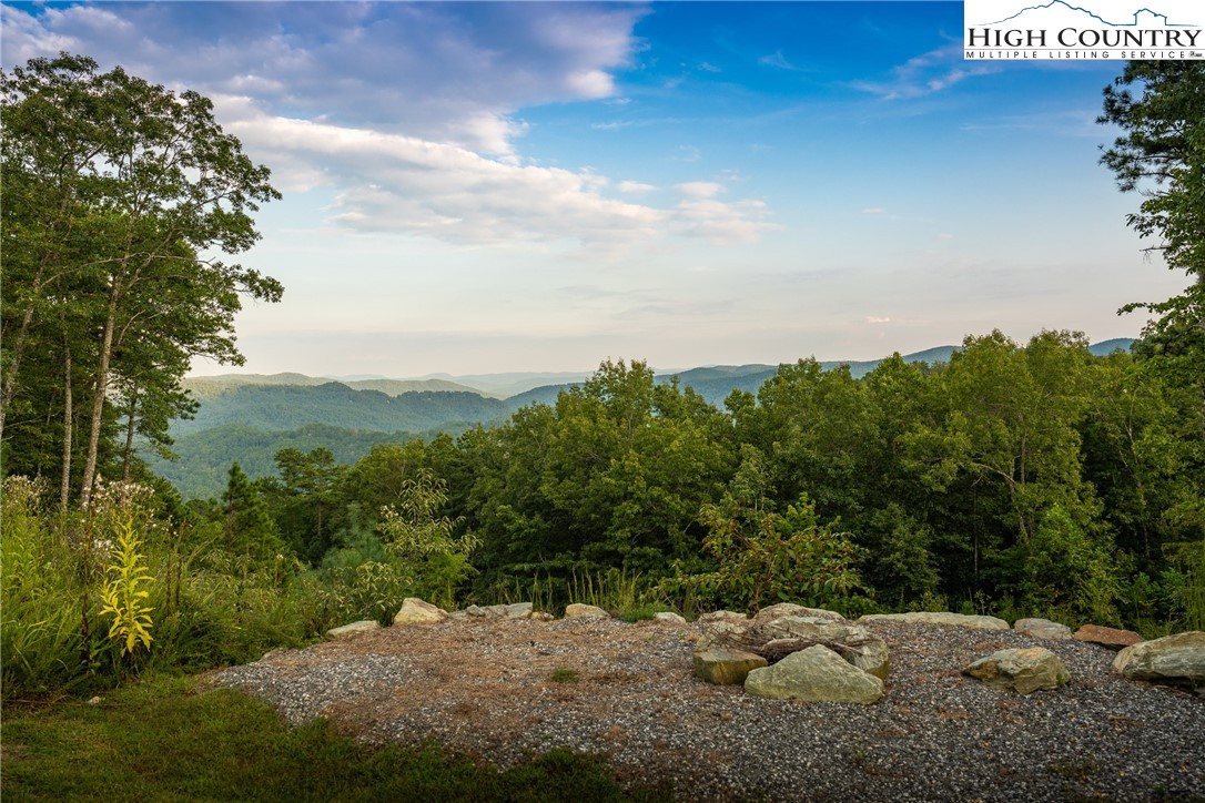 1628 Jumpseed Way Boone, NC 28607 - Photo 6 of 50