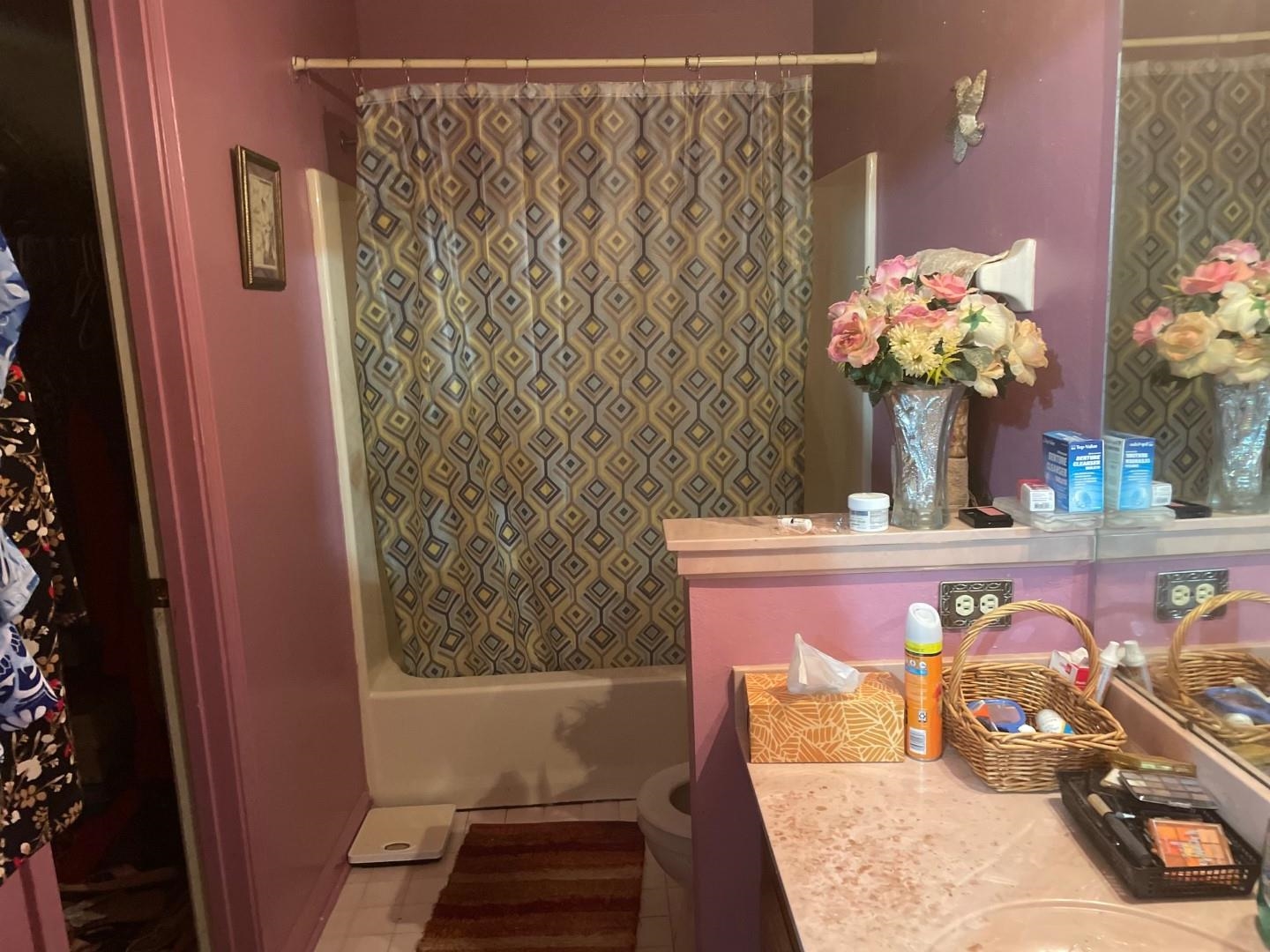 7665 Stone Manor Road Memphis, TN 38125 - Photo 5 of 9 a bathroom with a sink and a mirror