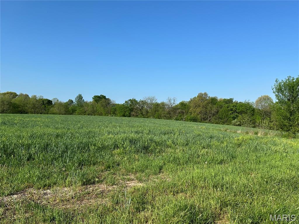 1001-1005 Palestine Road Chester, IL 62233 - Photo 2 of 2