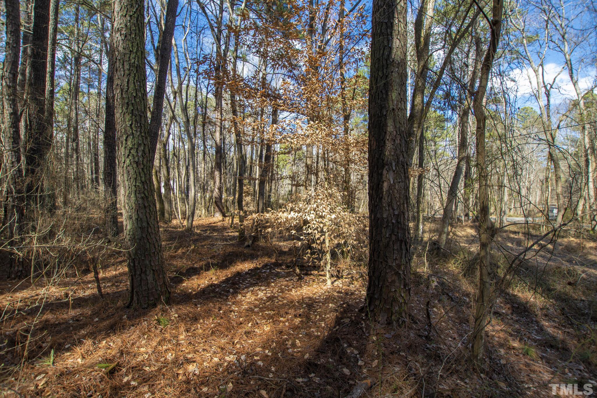 Lot 2 Damascus Church Road Chapel Hill, NC 27516 - Photo 1 of 6