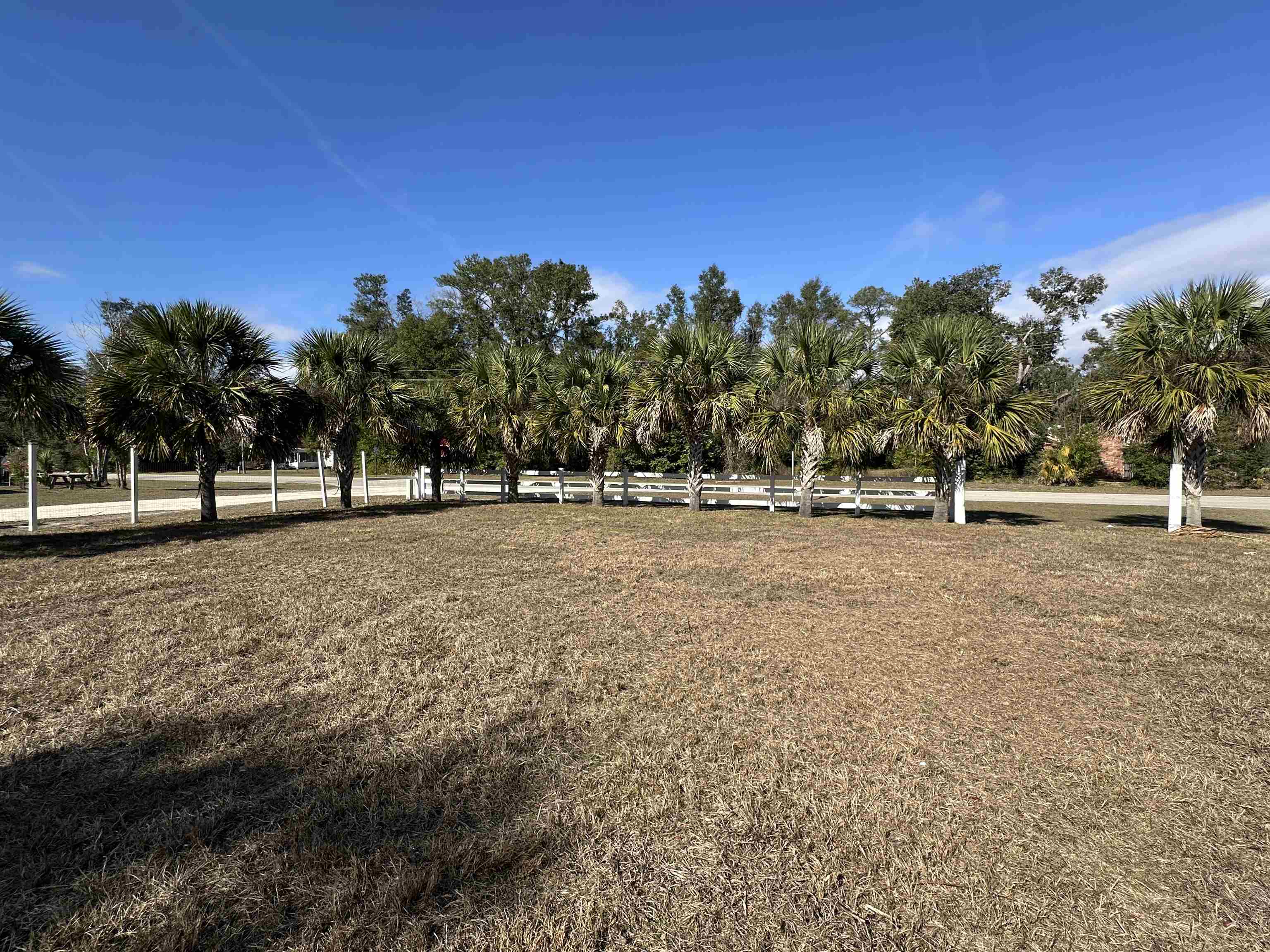 11895 Charles Holden Road Greenville, FL 32331 - Photo 9 of 30