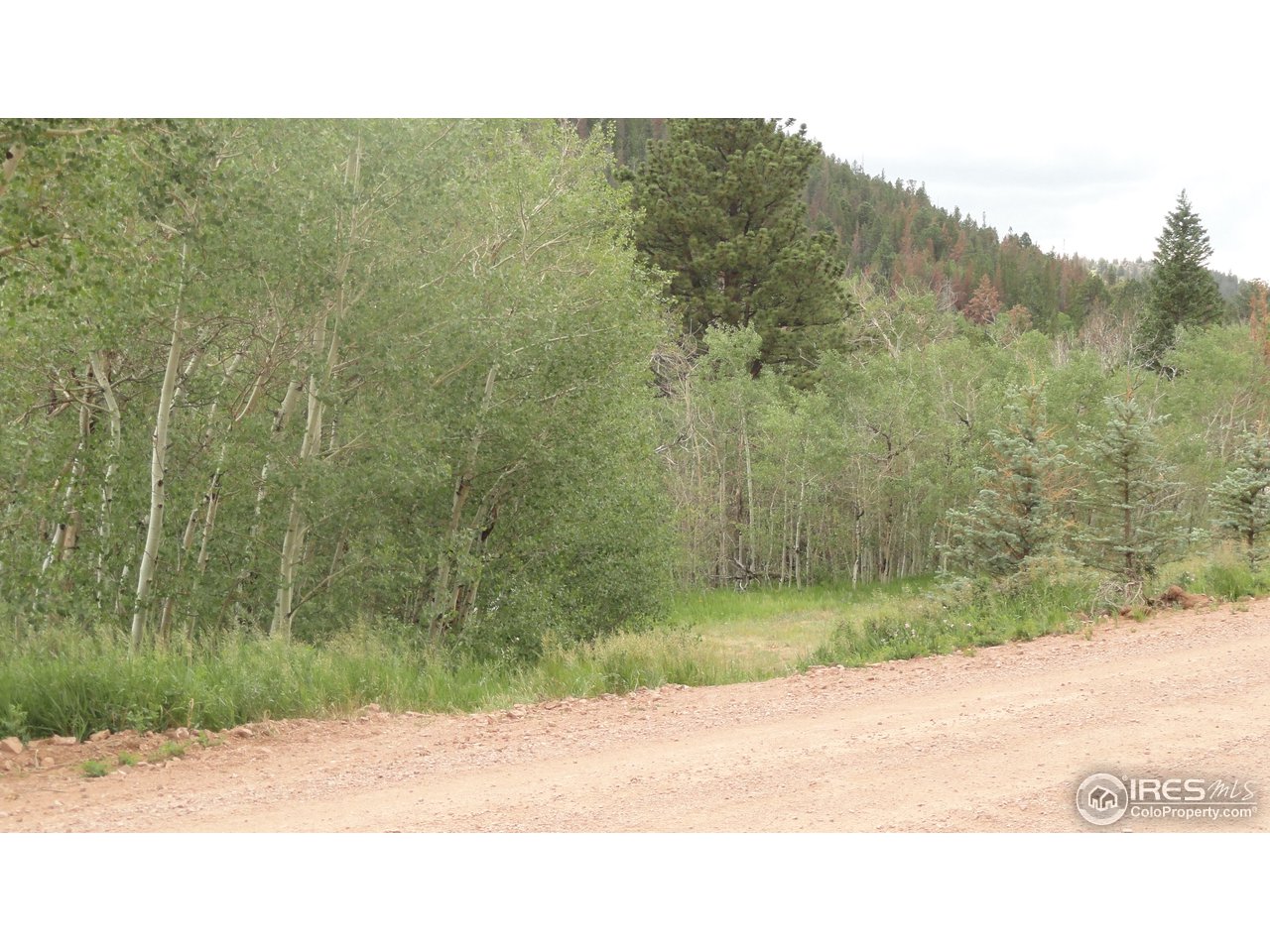 155 Huron Road Red Feather Lakes, CO 80545 - Photo 1 of 10 Gallery Image 1