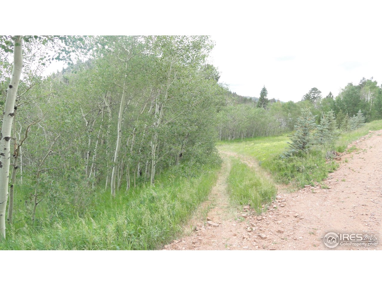 155 Huron Road Red Feather Lakes, CO 80545 - Photo 2 of 10 Gallery Image 2