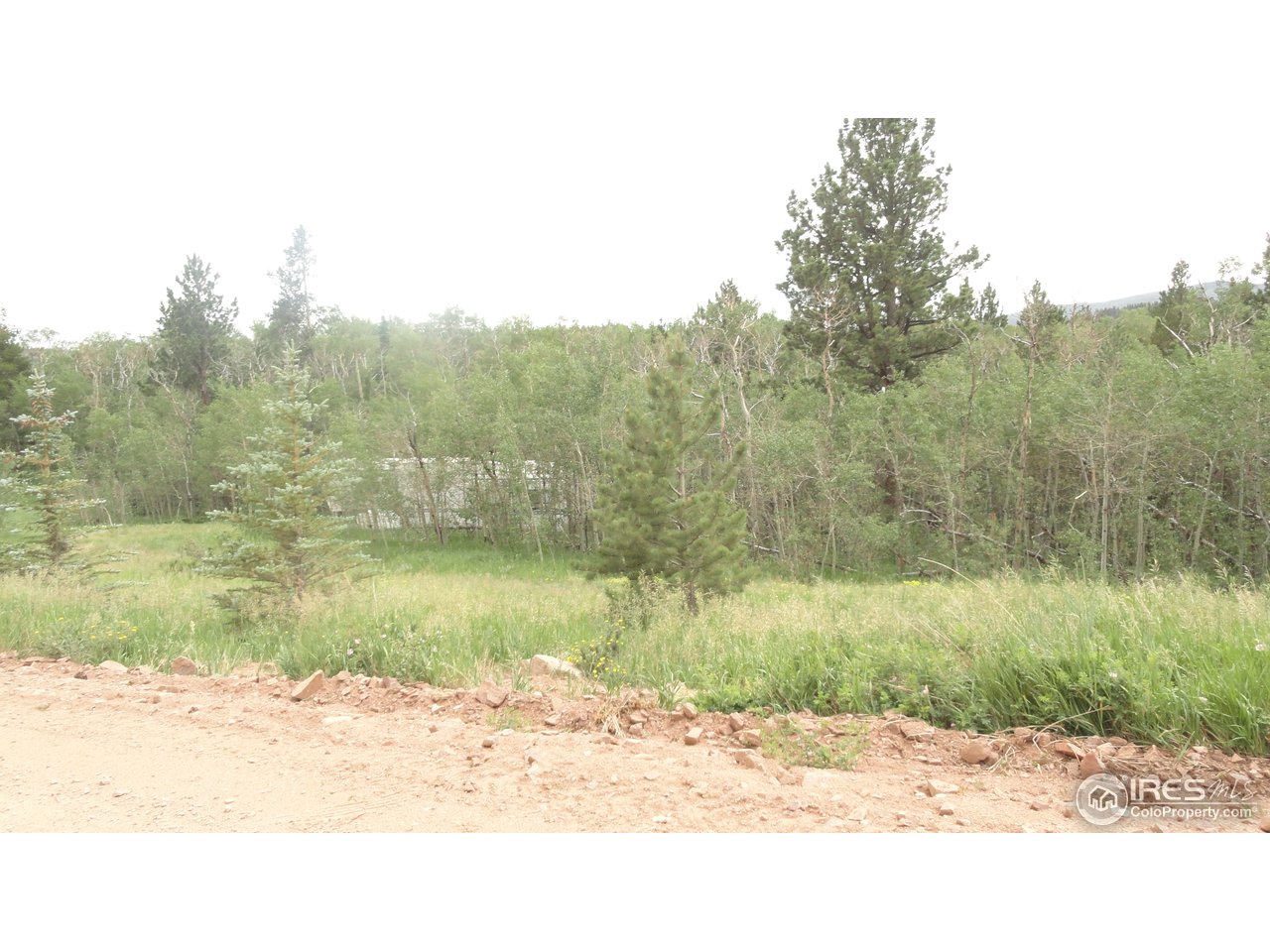 155 Huron Road Red Feather Lakes, CO 80545 - Photo 4 of 10 Gallery Image 4