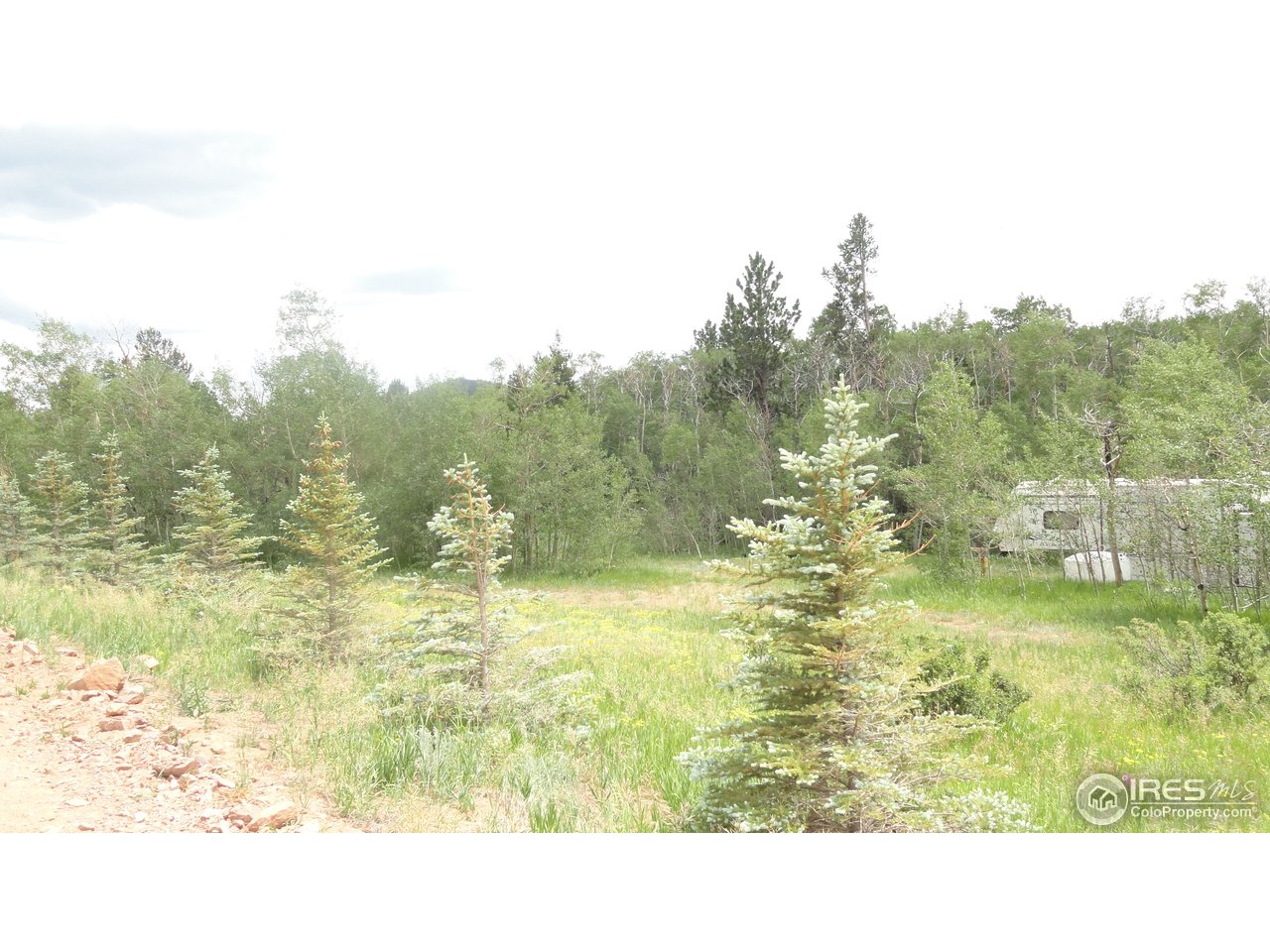 155 Huron Road Red Feather Lakes, CO 80545 - Photo 5 of 10 Gallery Image 5