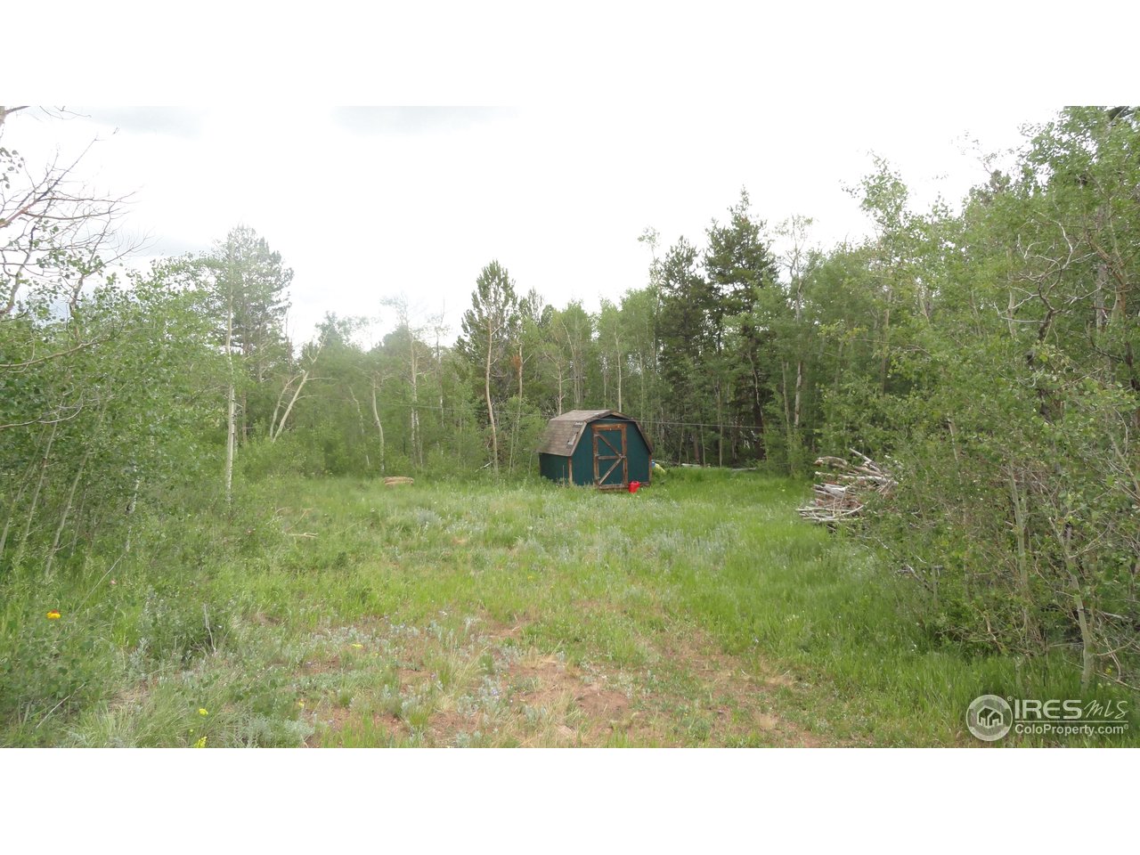 155 Huron Road Red Feather Lakes, CO 80545 - Photo 10 of 10 Gallery Image 10