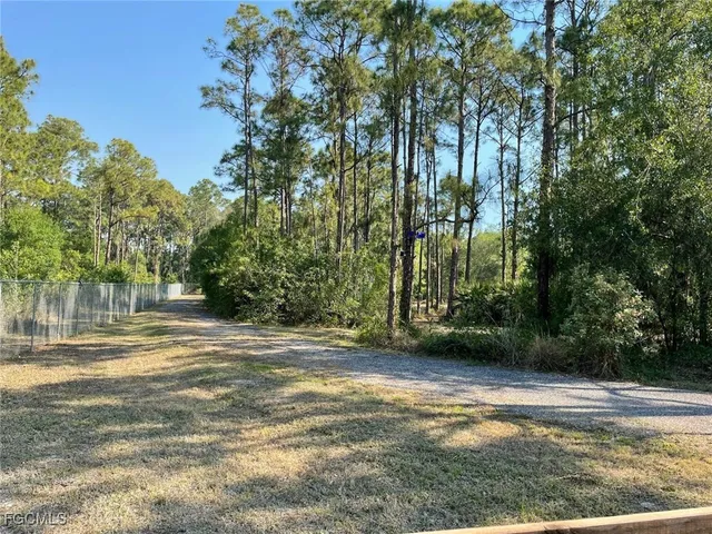 a view of a yard with a tree