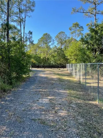 a view of a yard with large trees
