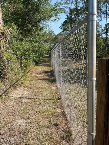 a view of a pathway with a tree in front of it