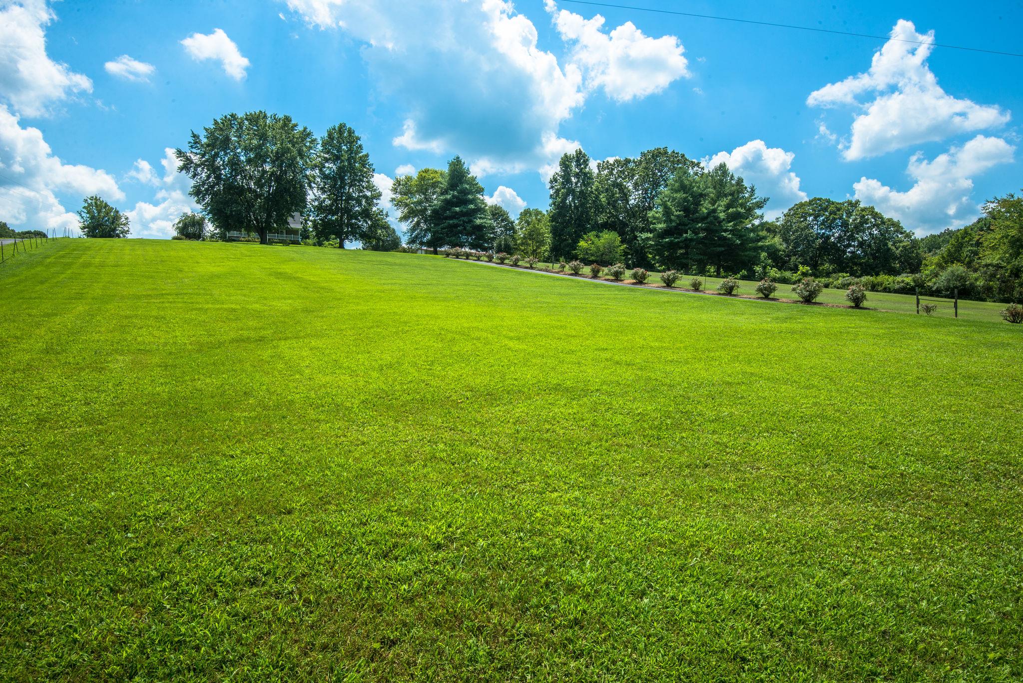 7357 Swift Road Greenbrier, TN 37073 - Photo 3 of 30 a view of a big yard with a house and outdoor space
