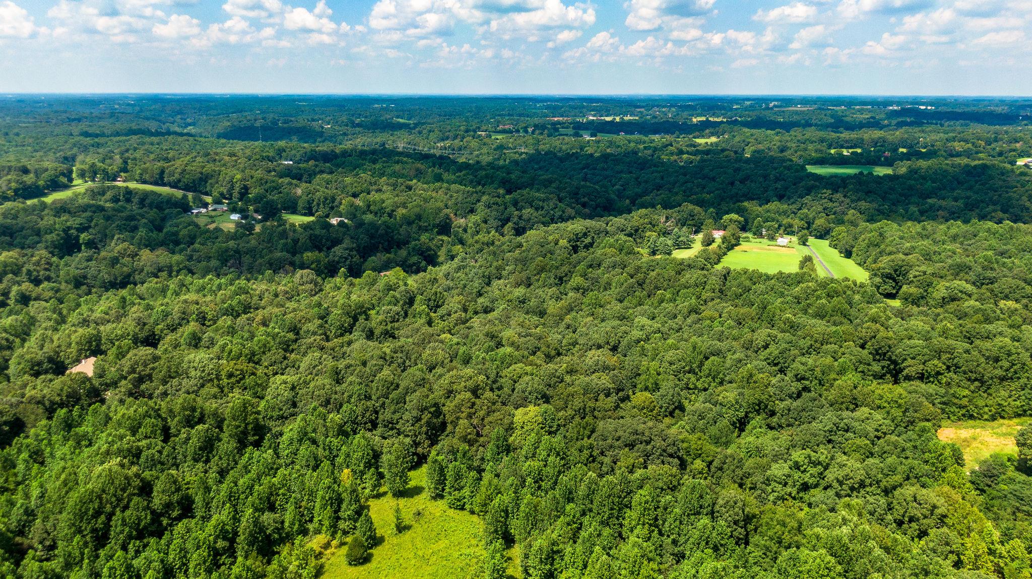 7357 Swift Road Greenbrier, TN 37073 - Photo 30 of 30 an aerial view of a houses with a yard