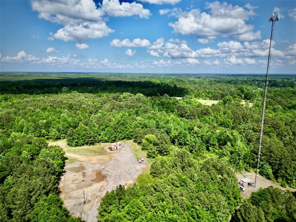 0 Bethel Road Frierson, LA 71027 - Photo 1 of 1 Bird's eye view featuring a wooded view