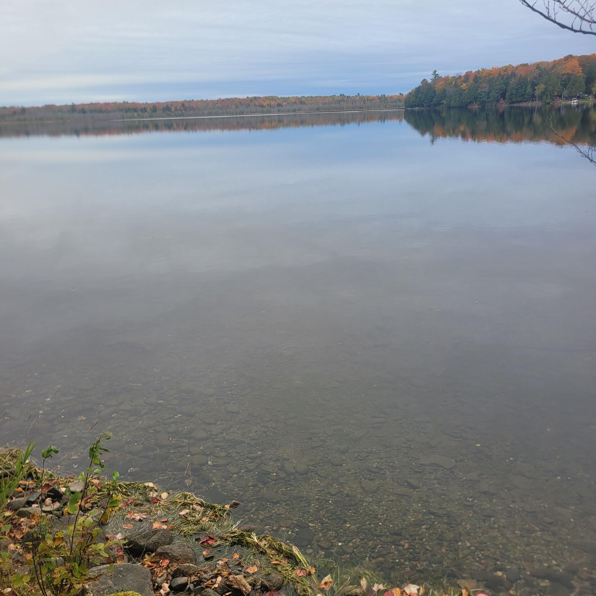 59 Camp Road Palmyra, ME 04965 - Photo 10 of 56 thumbnail_20251014_161735