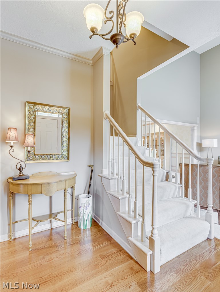 1715 Summerchase Road Northeast Canton, OH 44721 - Photo 5 of 33 Gallery Image 5