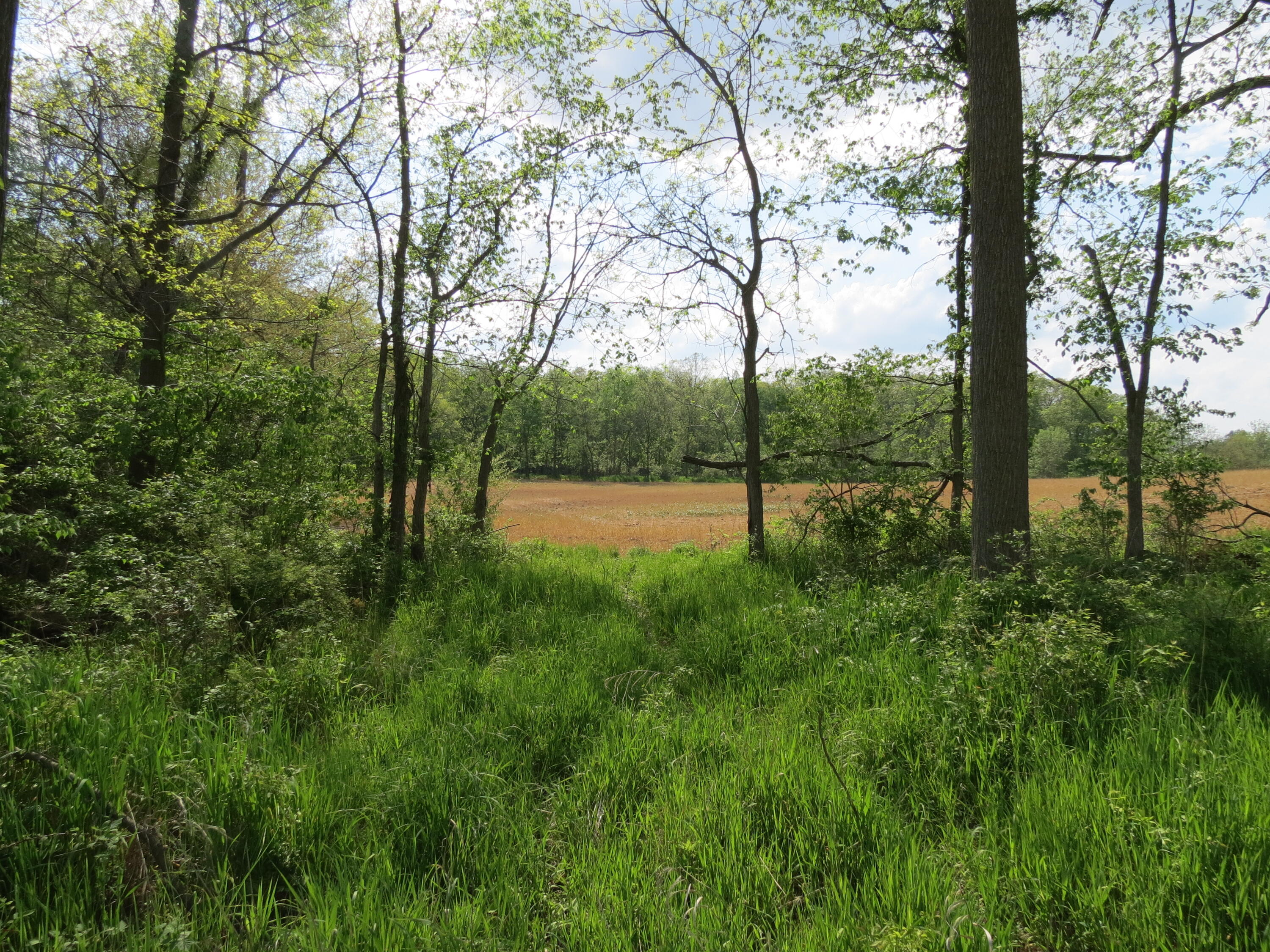 South Stony Lake Road, Unit B Jackson, MI 49201 - Photo 10 of 30 IMG_4251