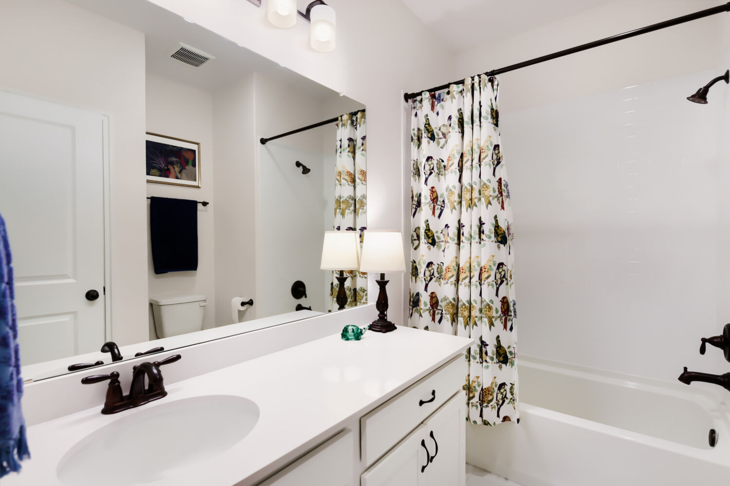 2433 Walking Y Road Georgetown, TX 78633 - Photo 13 of 18