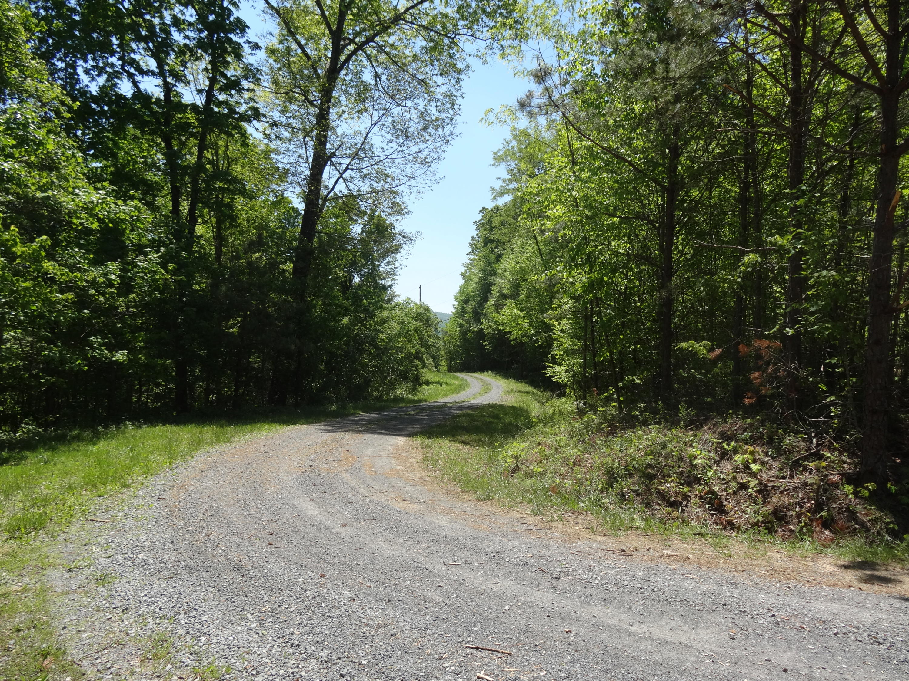 Lot 21 Anthony Ridge Road Frankford, WV 24938 - Photo 17 of 26 Gallery Image 17
