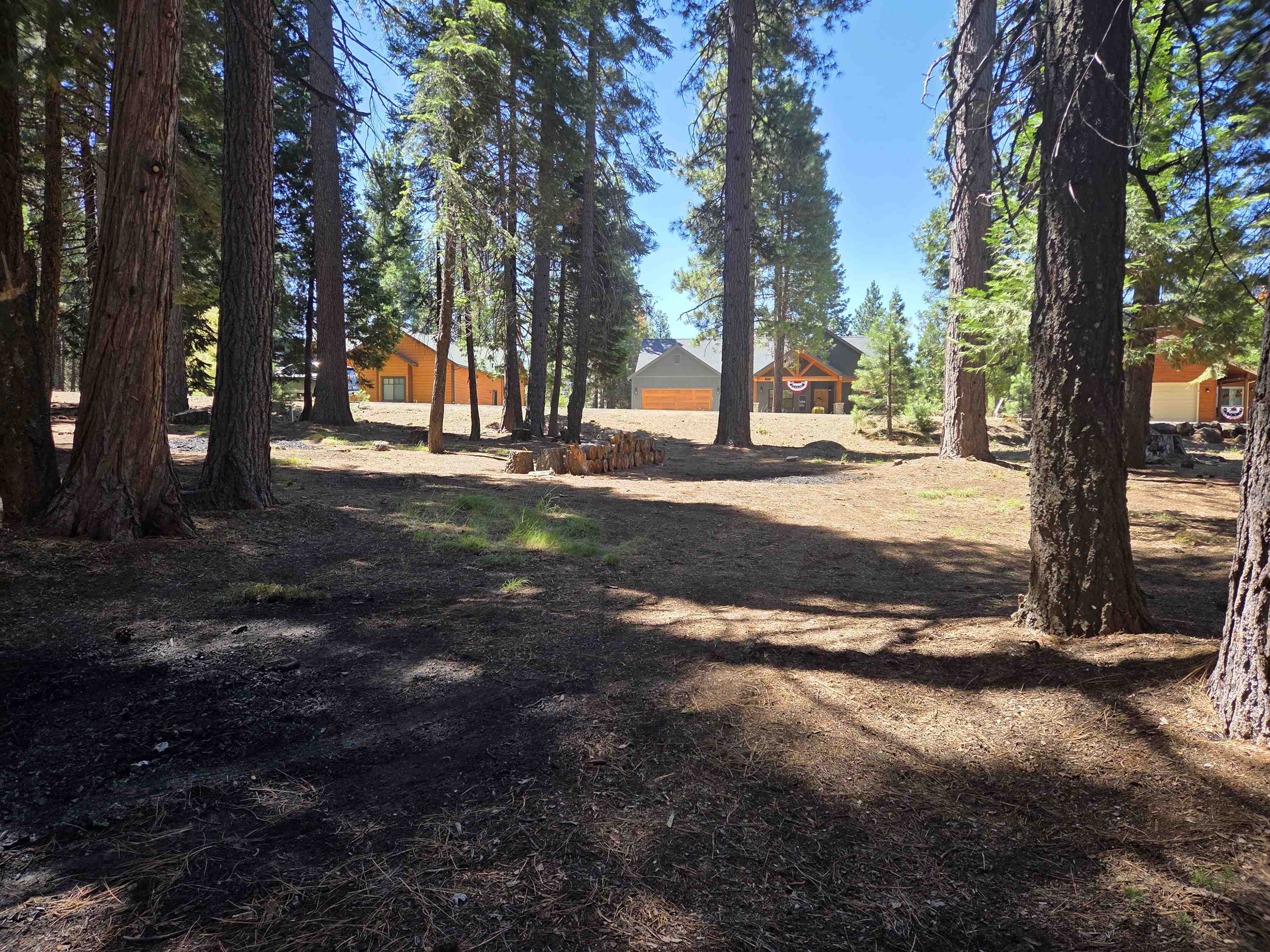 307 Racoon Trail Lake Almanor West, CA 96020 - Photo 3 of 4