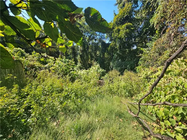 a backyard of a house with a garden