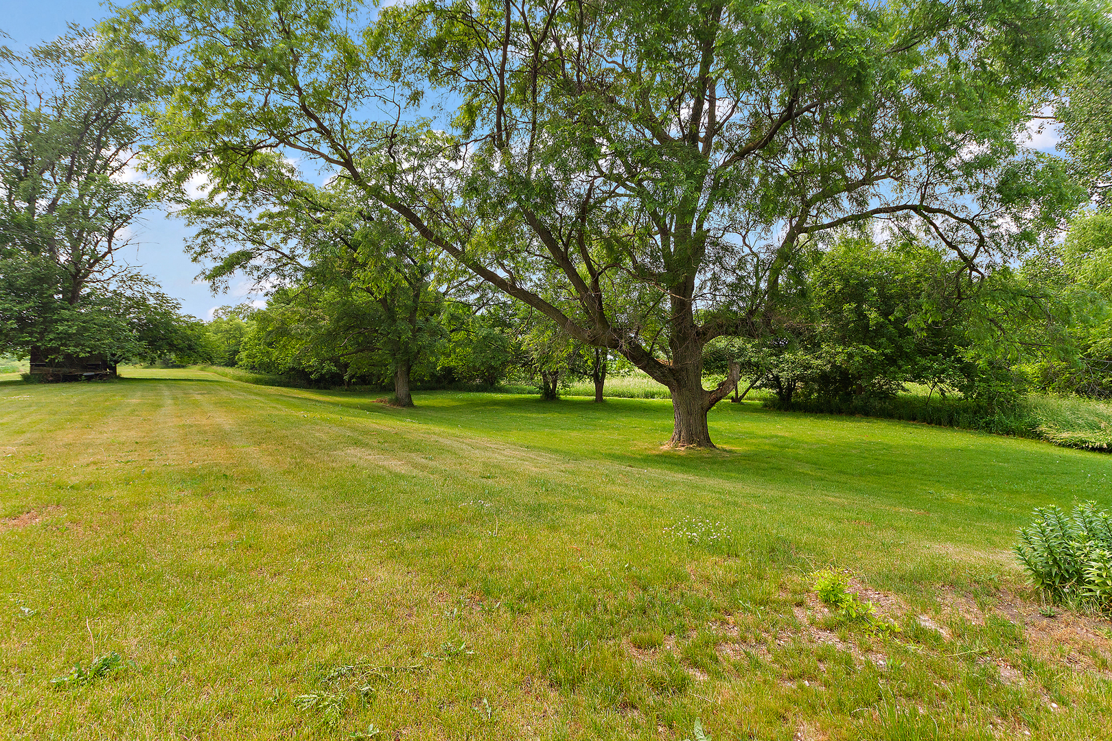 32444 Wilton Road Manhattan, IL 60442 - Photo 28 of 28 a view of yard with trees